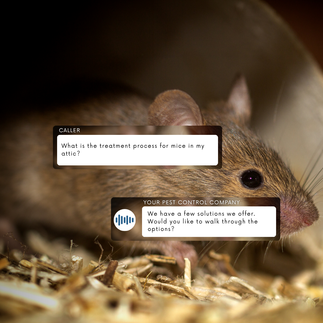 Pest Control Handle the job—leave the calls to us