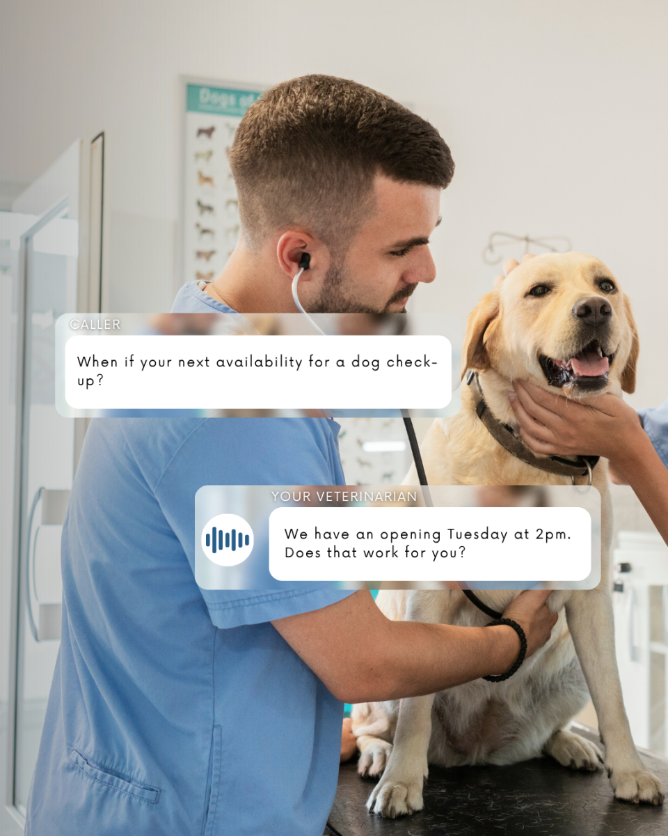Veterinary answering services