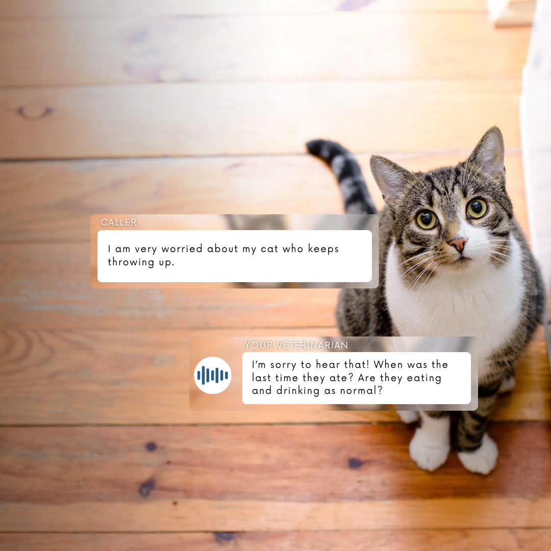 Veterinarians Extend your care beyond office hours